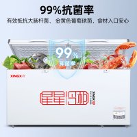 星星(XINGX) 518升商用大冷柜 家商两用 大冷冻力冰柜 断电保护 冷藏冷冻转换柜 BD/BC-528GE