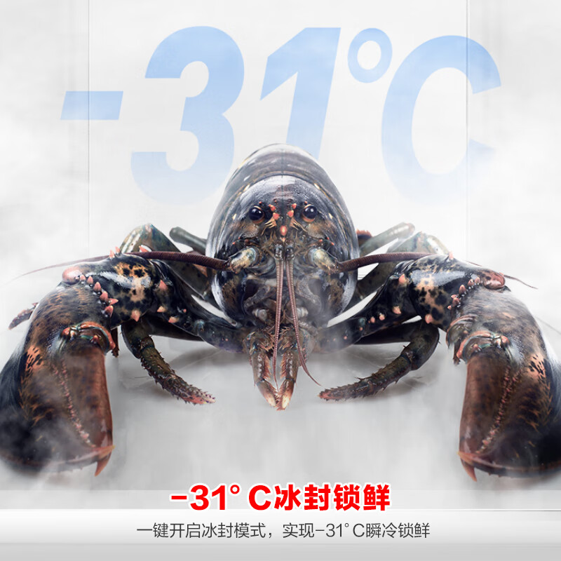 容声 BCD-547WD12HP 547升双开门对开门电冰箱家用一级能效节能变频风冷无霜超薄大容量冰箱高清大图