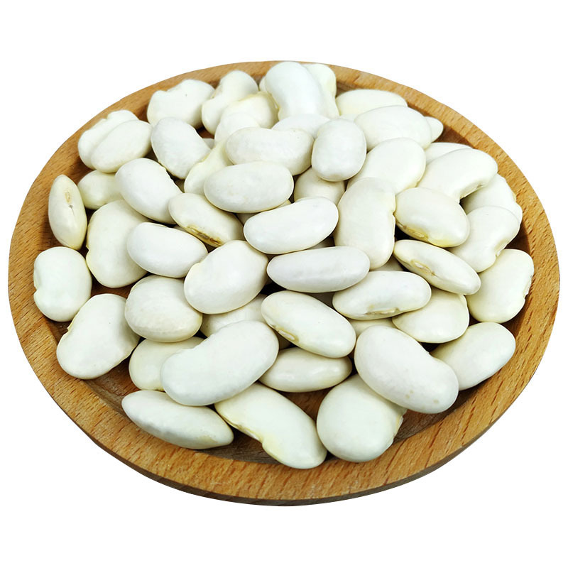 云南白云豆大白豆白芸豆种子新鲜五谷杂粮散装农家自产雪豆