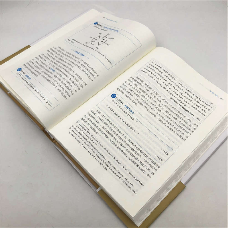 正版新书]大问题:简明哲学导论(美)罗伯特·所罗门(Robert C.Solo高清大图