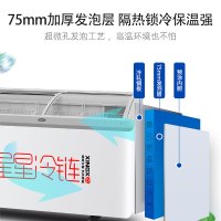 星星(XINGX) SD/SC-103B商用展示柜超市大容量卧式冷柜全冷冻冷藏冰柜雪糕海鲜丸子深底组合岛柜保鲜展示柜