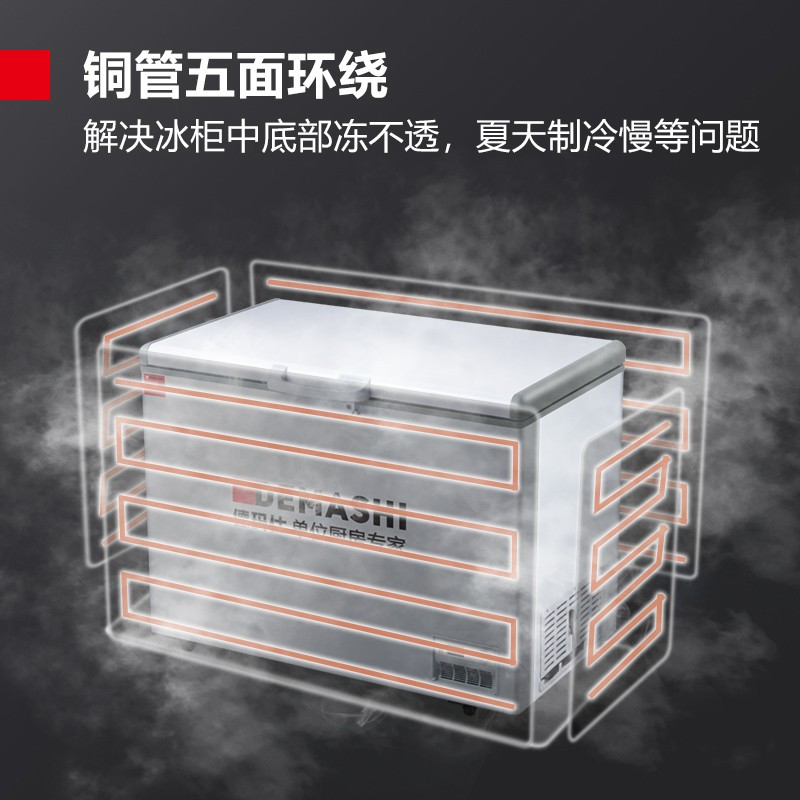 德玛仕(DEMASHI) 卧式冰柜 BD-480[XC02]卧式冰柜全冷冻冰柜 商用冰柜