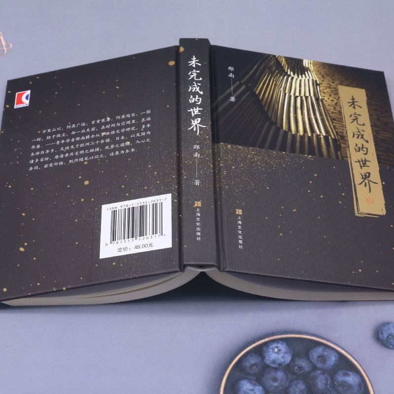 [正版]未完成的世界(精)邵南著 行旅文学欧洲游记随笔上海文化出版社现当代文学另著谢阁兰与中国文化高清大图