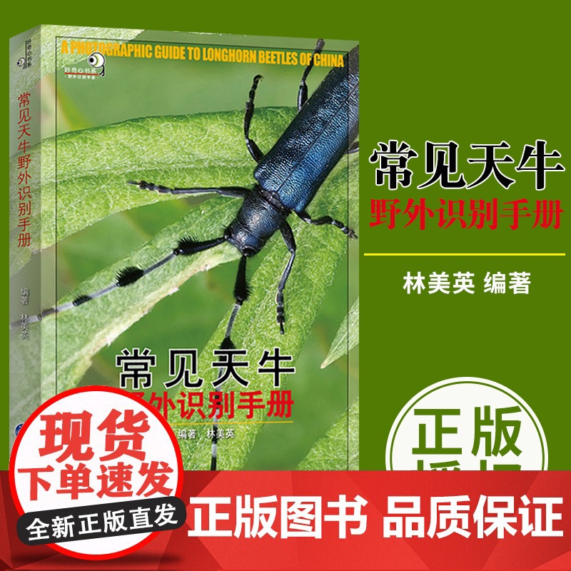 好奇心书系 常见天牛野外识别手册 林美英 天牛爱好者初级读物 科普读物书籍 生物世界 重庆大学出版社