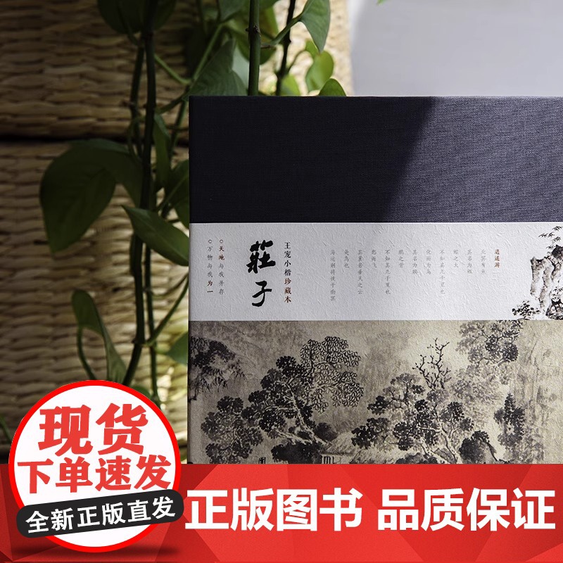 [插画版]庄子:王宠小楷珍藏本注释译文版庄周著国学经典书籍中国哲学传统文化人生励志修养全书庄子的智慧老子庄子道家经典著作高清大图