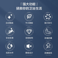 箭牌蹲便器蹲坑式卫生间便池便盆家用农村厕所大便器蹲厕水箱套装