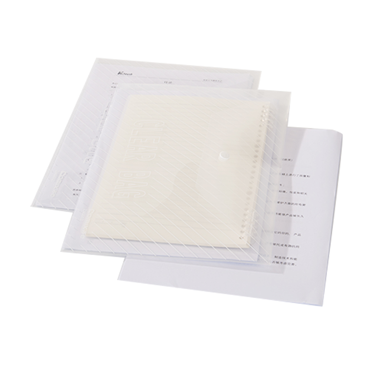 齐心 ZA0012 经典条纹透明按扣袋 A4 20个 透明 1套装高清大图