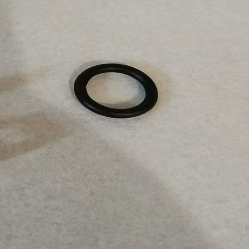 帮客材配惠而浦/法迪欧/苏宁极物燃气热水器 JSQ25-13DS/D2、VL1、12D1、13U水流量传感器O型密封圈高清大图
