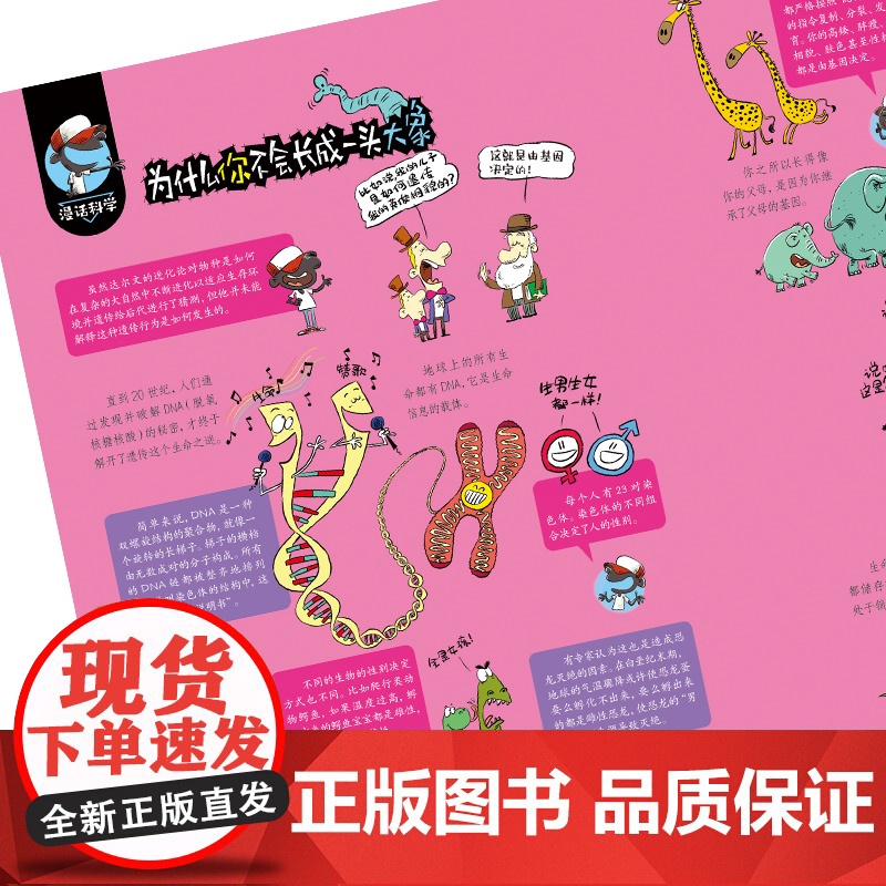 漫话科学:意外的发现 儿童科普 知识涵盖物理学、化学、生物学、地球科学等领域高清大图