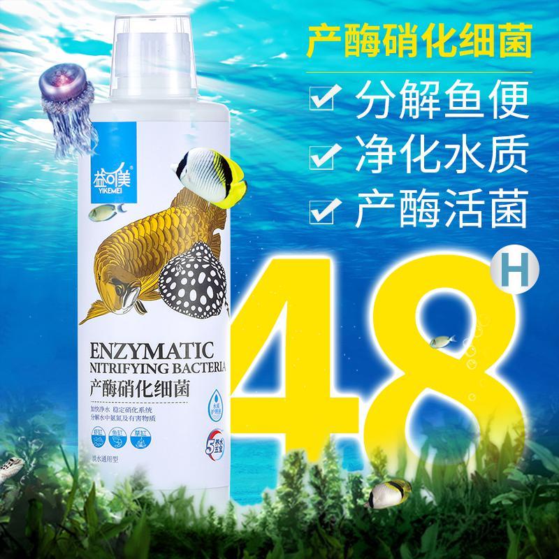 硝化细菌软化水质鱼缸空气缸净水淡水系统去水澄清高清大图