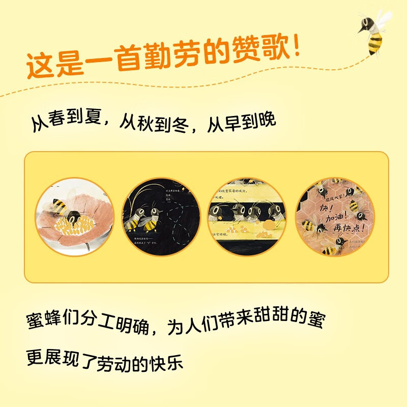 看,蜜蜂! [正版]获奖绘本看蜜蜂硬壳精装生动展现蜜蜂酿蜜全过程3-4-6岁儿童图画书幼儿宝宝睡前故事亲子教育启蒙儿童故