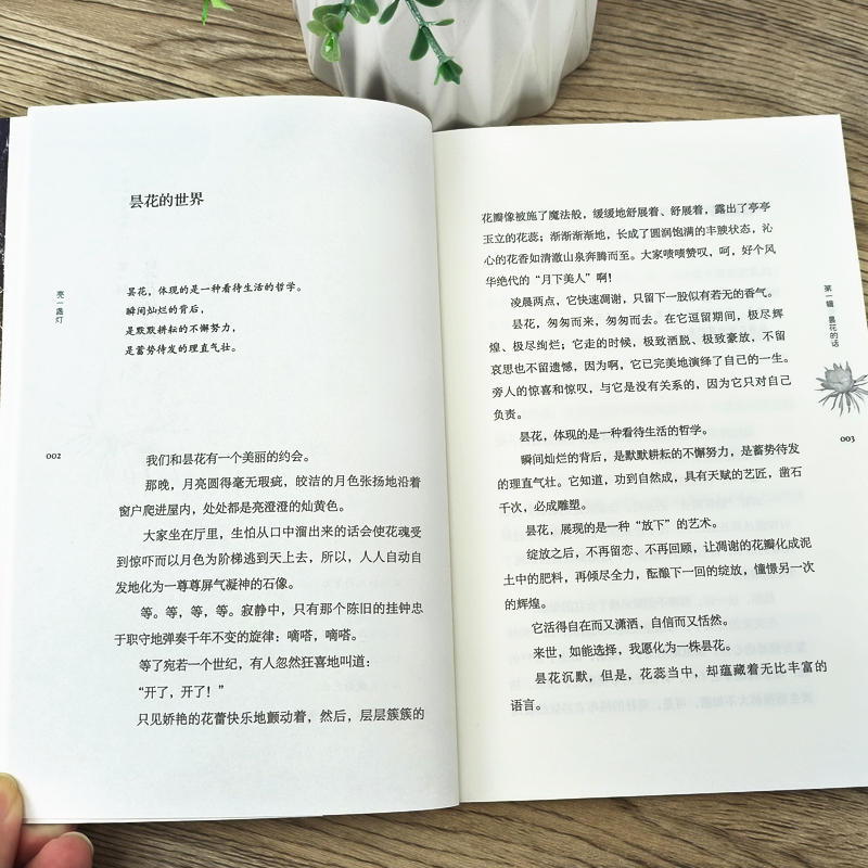 亮一盏灯 [正版]亮一盏灯 新加坡尤今著 五年级百班千人祖庆说大阅小森 小学生课外书阅读书籍 深圳出版社kq52