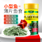 薄片鱼食小型鱼薄片鱼粮螺旋藻增艳热带金鱼孔雀斗鱼红绿灯易吸收