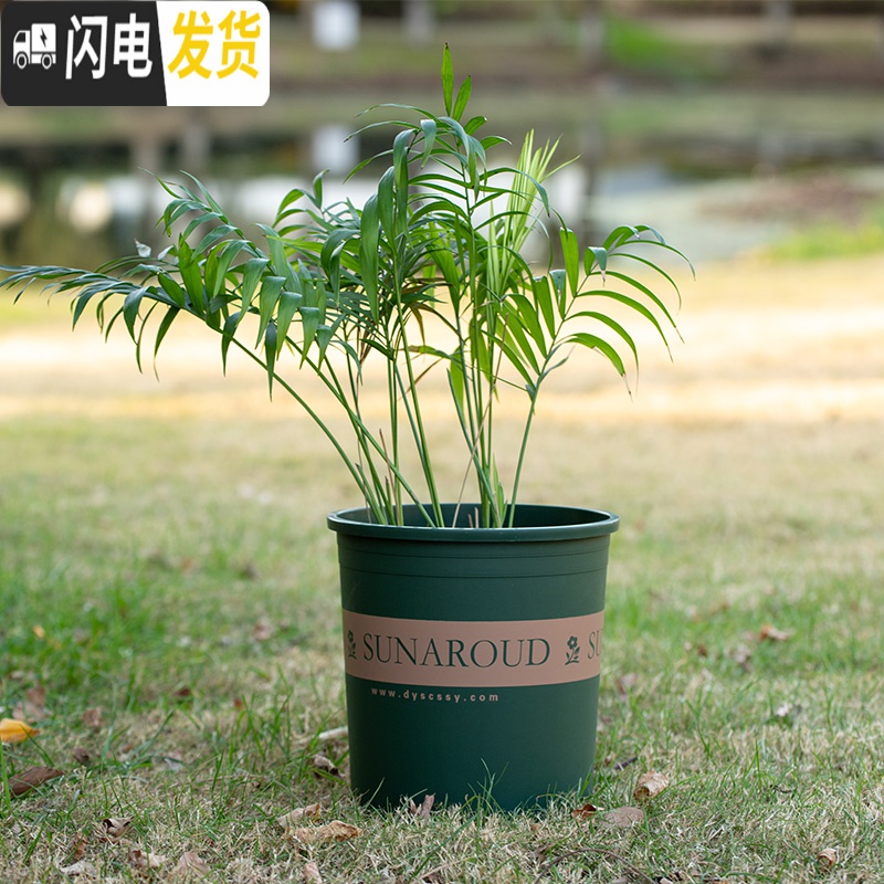 三维工匠塑料树脂矮胖加仑花盆加厚绿萝月季多肉特大号口径 高款(砖红)1加仑[5个装] 含托盘花盆容器高清大图