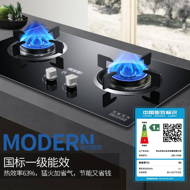 志高(CHIGO) H090C双灶眼燃气灶(液化气) 4.8大火力台式嵌入式家用 双灶定时燃气灶
