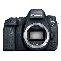 佳能(Canon) EOS 6D2(24-105F4 II+24-70F2.8)数码单反相机 双镜头套装 约2620万