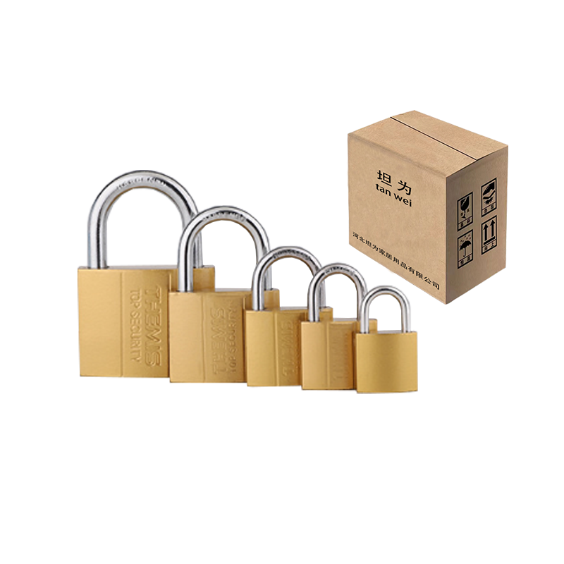 锁挂锁铁锁小挂锁单开锁 25mm 把高清大图