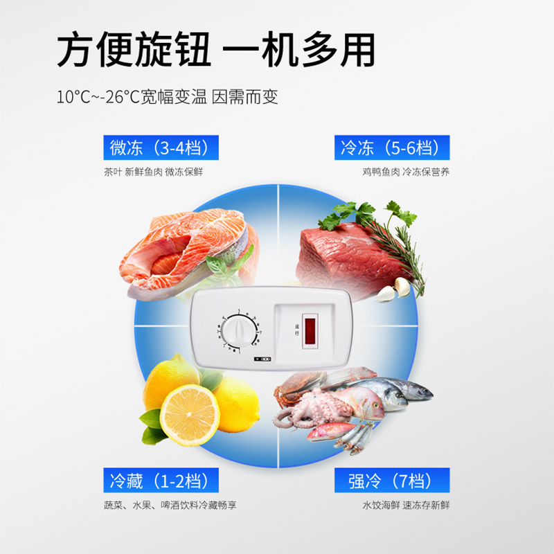 澳柯玛BC/BD-307HNE大容量家用冰柜商用一级能效冷藏冷冻卧式冷柜