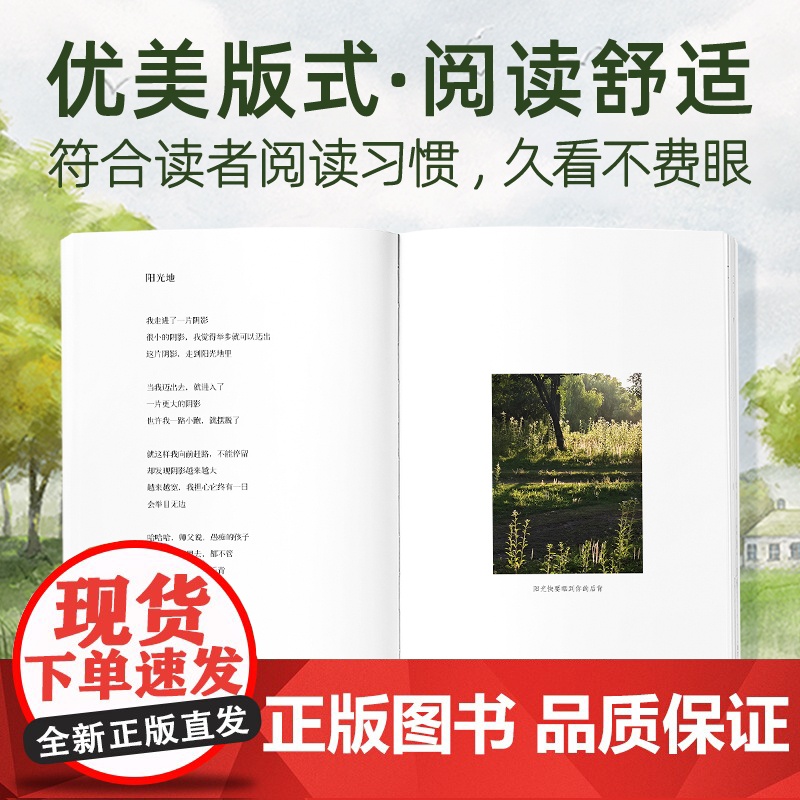 昨天发生的一切都不是真的 中国知名诗人作家译者当代先锋小说标杆人物 诗人鲁羊6年心血之作 收录71幅鲁羊摄影作品浙江文艺高清大图