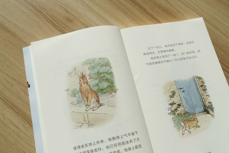 [正版]书店彼得兔的故事 (英)毕翠克丝·波特 四川文艺出版社 金炀淏//叶驰顾湘果麦中文分级阅读外国儿童文学高清大图
