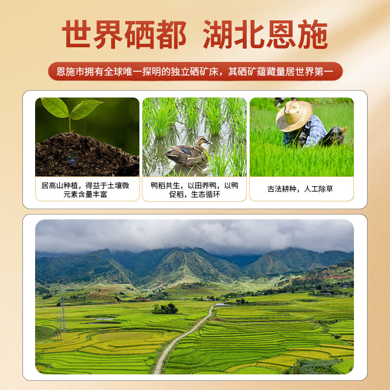 邻家饭香 高山农家香米 2.5kg/袋 真空双层包装 832系列 FP69高清大图