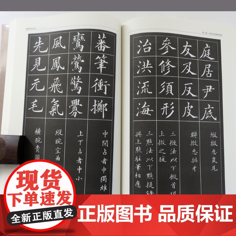 [全2册]实用对联大全(精装)+中国书法大全民间文学民族文学中国传统文化精粹春联喜联寿联故事集锦名联鉴赏辞典中华对联正版高清大图