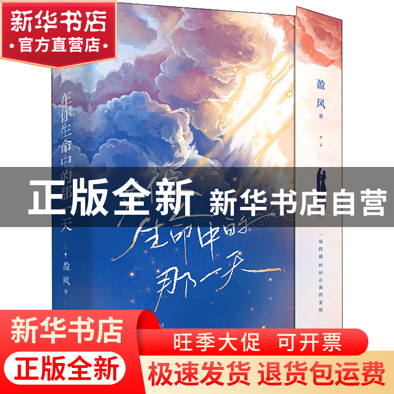 正版 在你生命中的那一天 盈风 浙江工商大学出版社 978751784781高清大图
