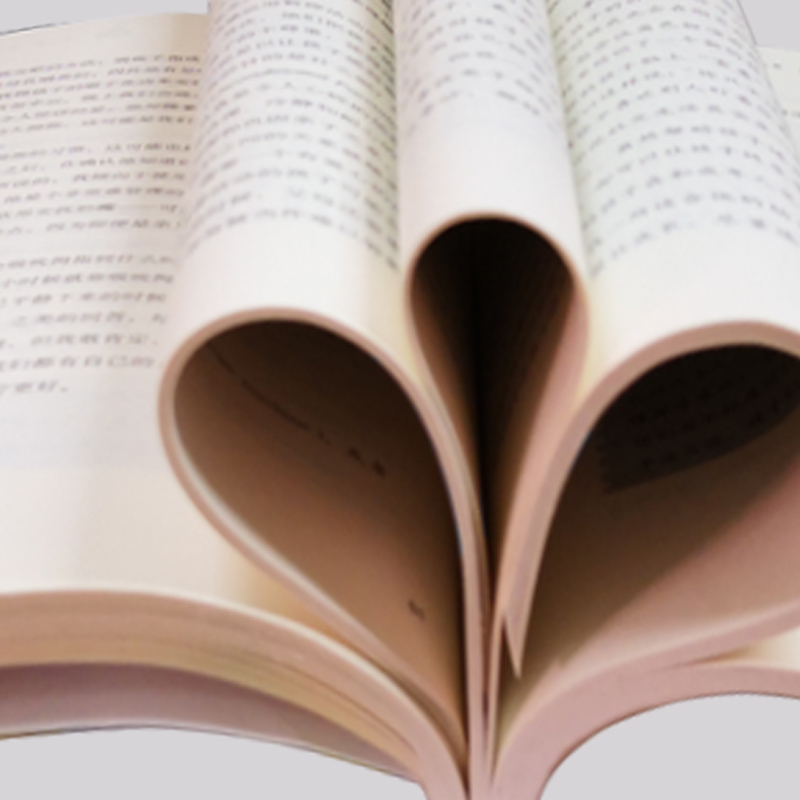 醉染图书你就是孩子的玩具 樊登导读9787550167919高清大图