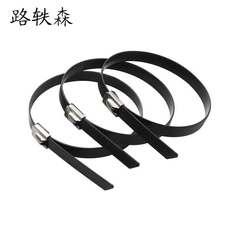 路轶森 不锈钢包塑自锁扎带 9*300mm 条高清大图