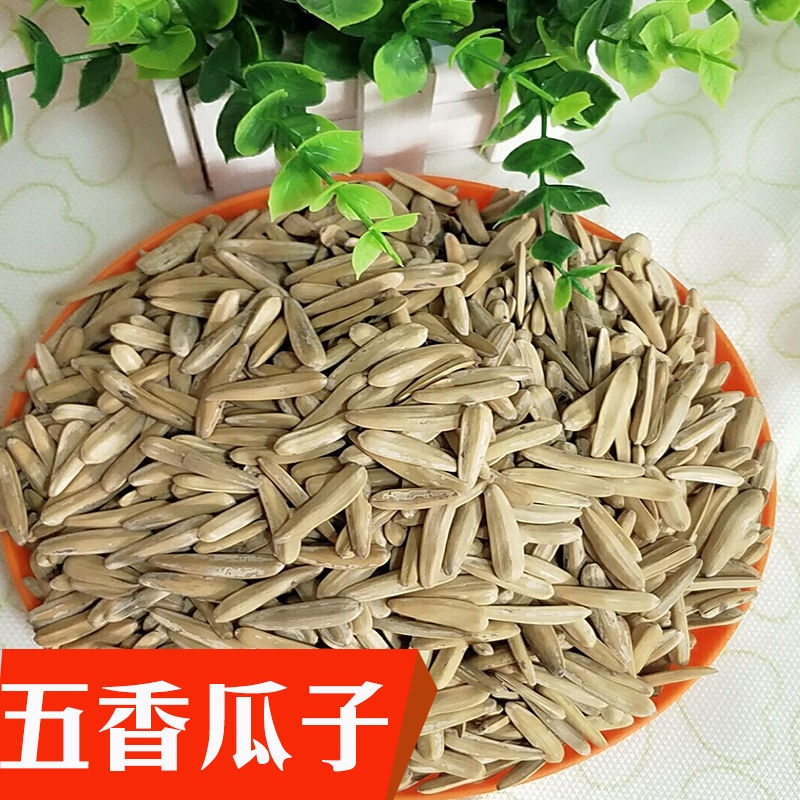 牙签新疆特产牙签马牙葵花籽葵生瓜子白皮新货皮薄瓜子