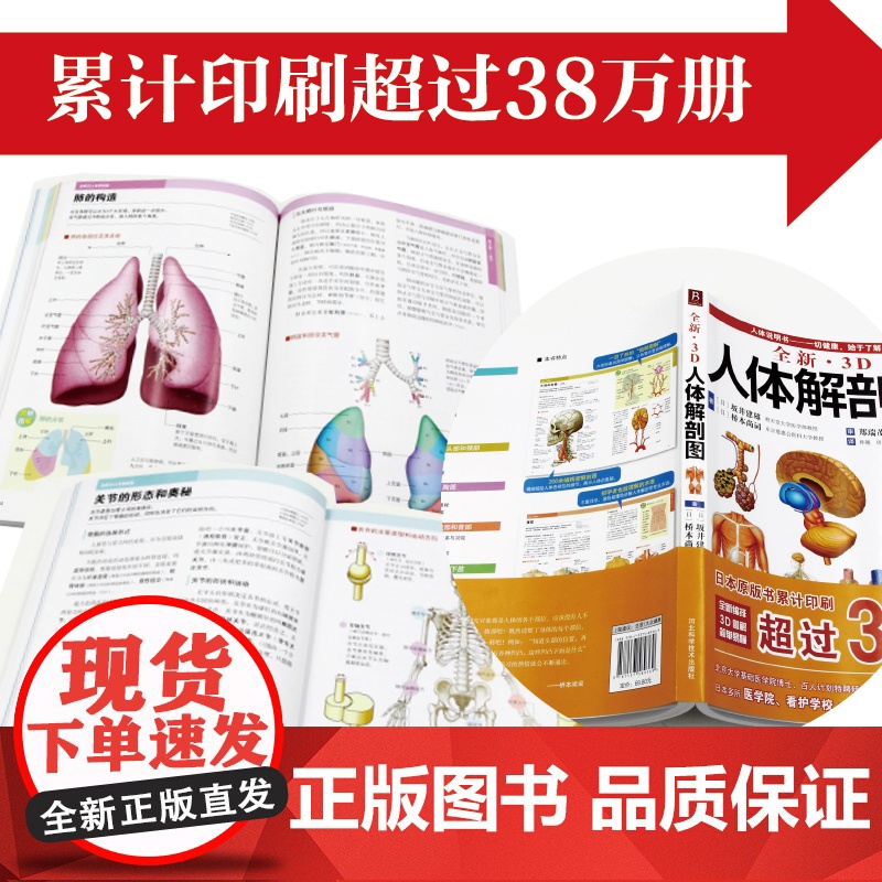 3D人体解剖图200个精密3D图例人体肌肉解剖运动解剖学断层局部解剖学图谱教材卫生解剖生理学专业基础医学图谱人体解剖学书高清大图