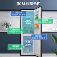 容声(Ronshen)308升 [新品首发]双门两门电冰箱 纤薄机身少占地 水润自然风 BCD-308WD17D
