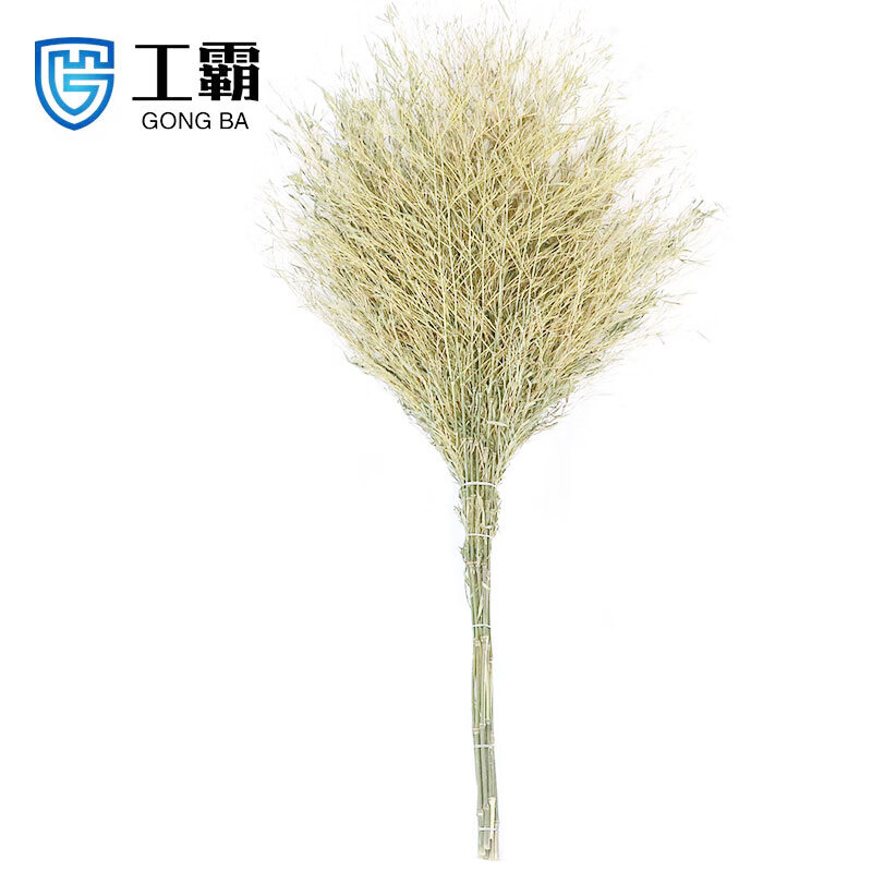 工霸(GONGBA)环卫大扫把马路道路地面清扫清洁笤帚 1.9米 中号3.5斤 单位:把