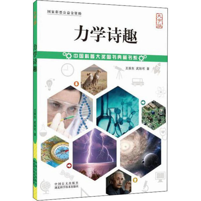 [正版]中国科普大奖图书典藏书系:力学诗趣 王振东/著大字护眼版中国盲文出版社 理论力学 弹性力学理论力学辅导书 这就高清大图
