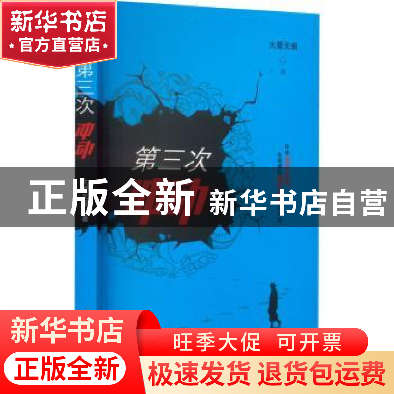 正版 第三次冲动 大爱无痕著 文化发展出版社 9787514229400 书籍高清大图
