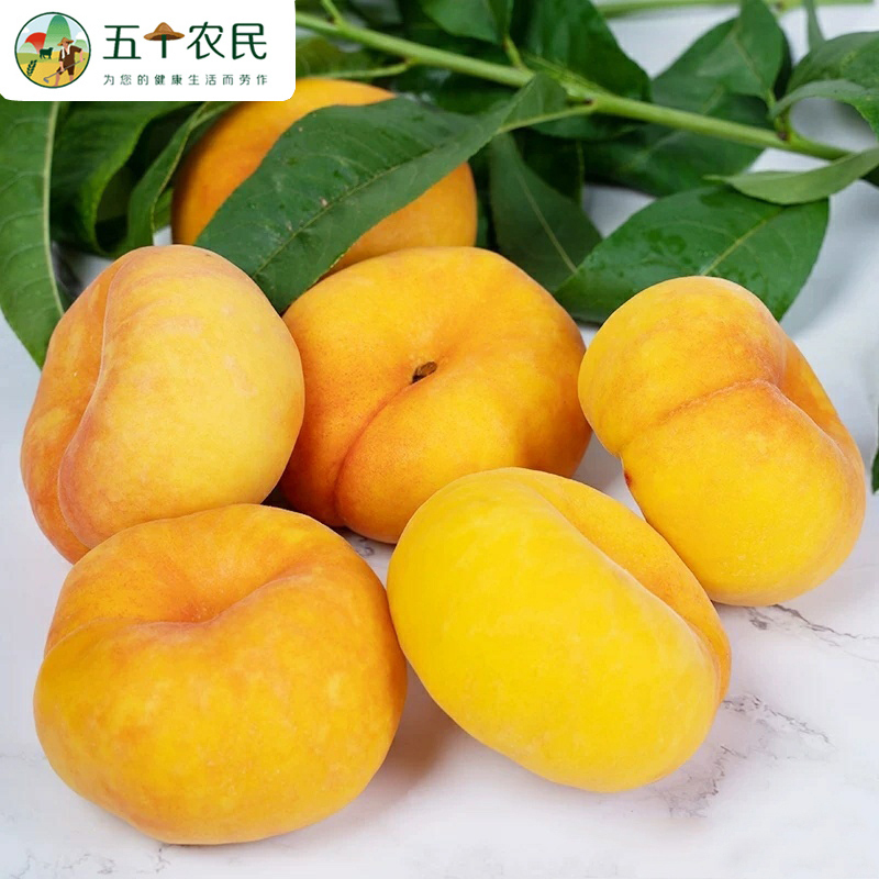 正宗蒙阴黄金蟠桃净重4斤装脆甜桃子应季新鲜水果纯甜桃子新鲜孕妇水果扁桃黄毛蟠桃农家现摘整箱