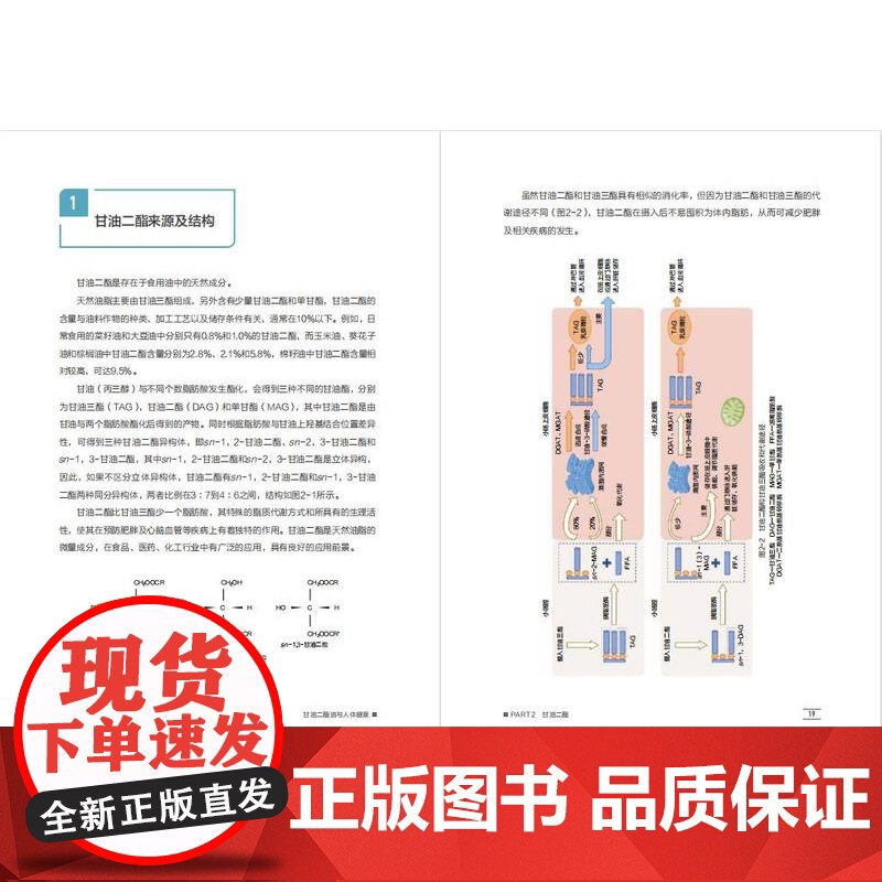 科技.*甘油二酯油与人体健康张震出版年份2023年最新印刷2024年9月版次1最高印次6食品食品图书科普读物高清大图