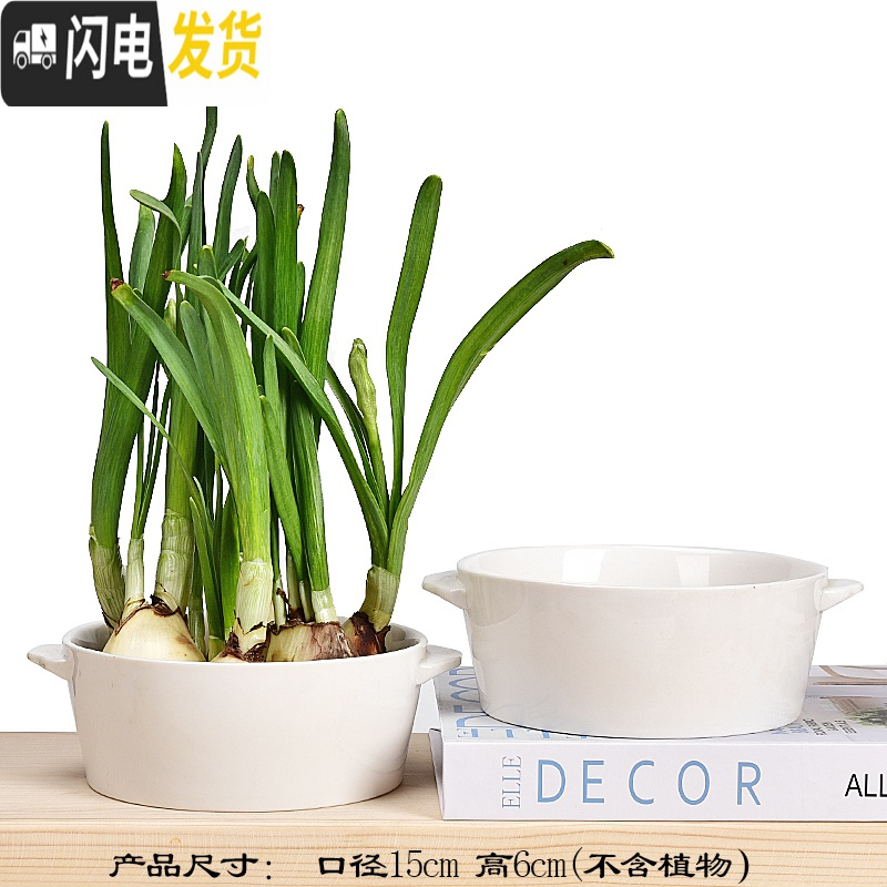 三维工匠水仙花盆铜钱睡莲碗莲荷花多肉水培花盆容器无孔陶瓷特大号 玲珑花盆2件套(无孔水培) 中等高清大图