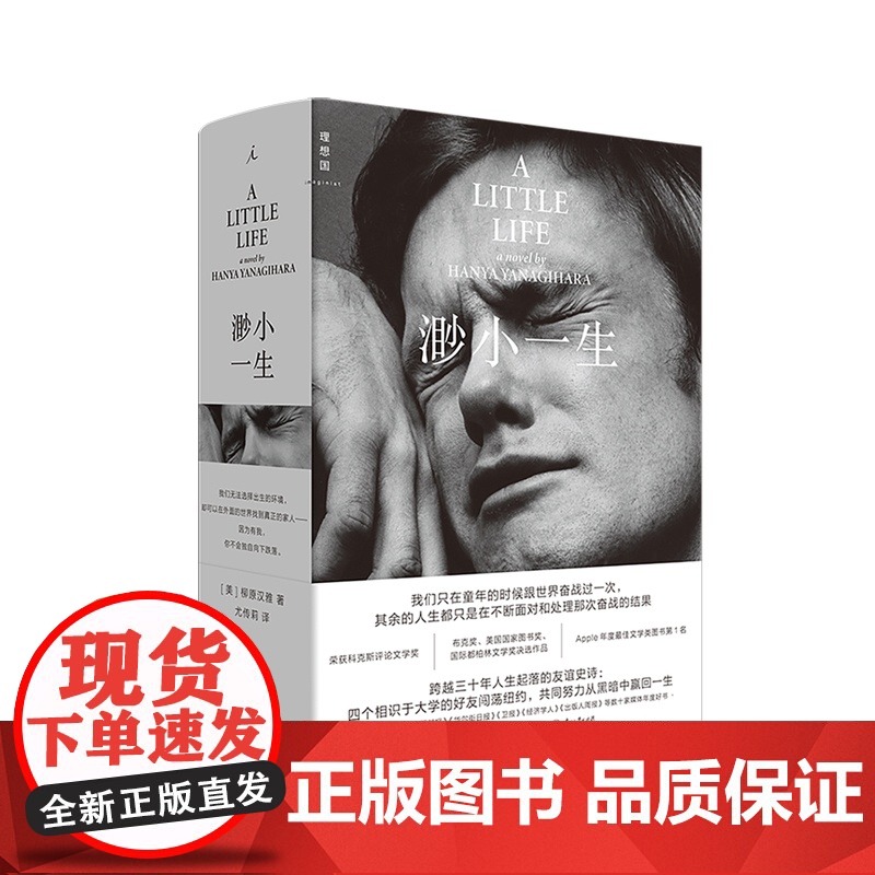 渺小一生(2025新版)【美】 柳原汉雅 蔡康永 四个好友三十年人生起落的友谊史诗 Apple年度文学类图书第1名 理想
