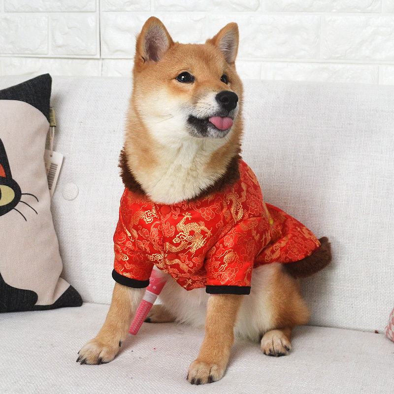 狗狗过年喜庆衣服宠物唐装冬装小泰迪新年红秋冬两脚比熊犬拜年装