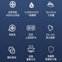 容声(RONGSHENG)蒸烤独立集成灶 家用顶吸油烟机 自清洁 燃气灶双灶 一级能效 WE2275ZK天然气液化气灶