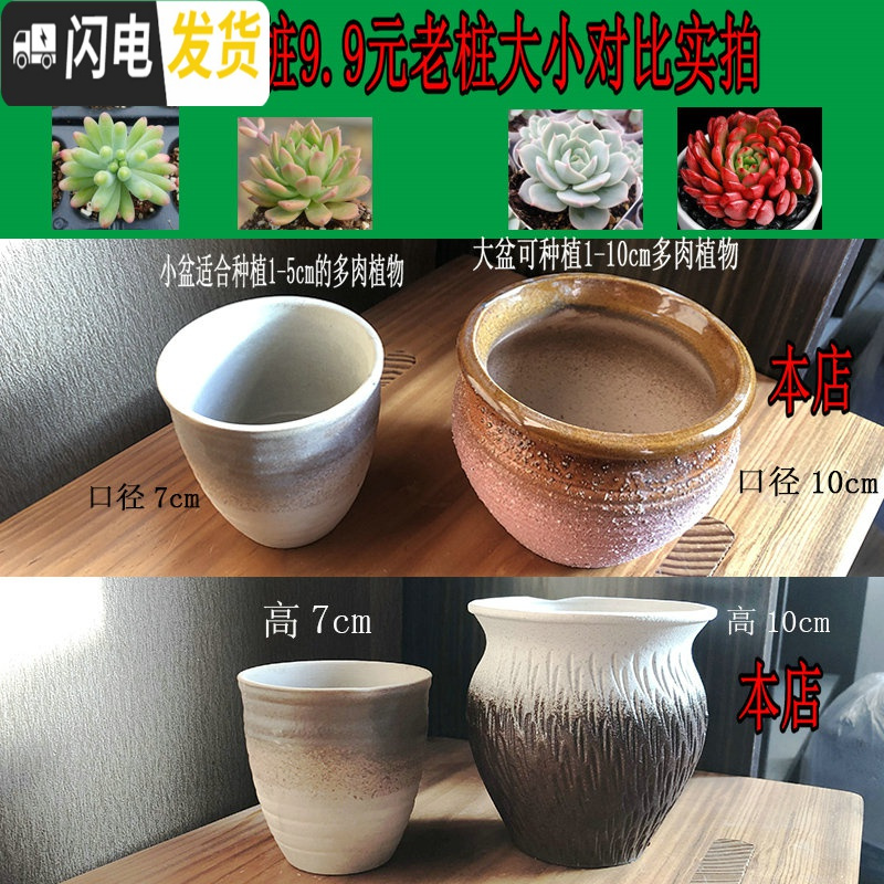 三维工匠多肉花盆陶瓷复古粗陶透气大口径创意个性老桩盆绿植 SH老桩09(2个) 大花盆容器