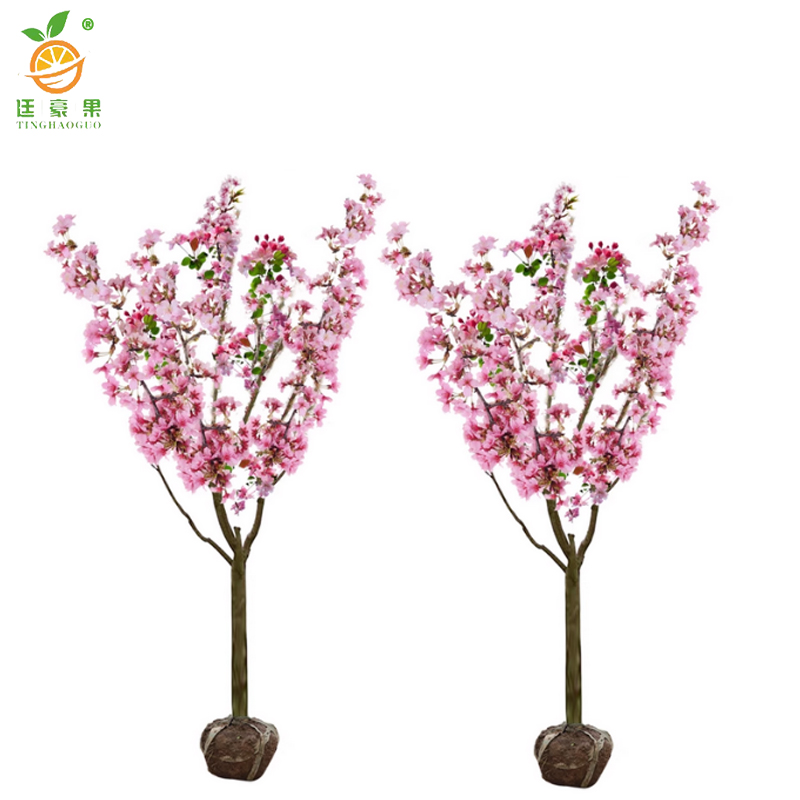 廷豪果 海棠树 胸径7cm /棵高清大图