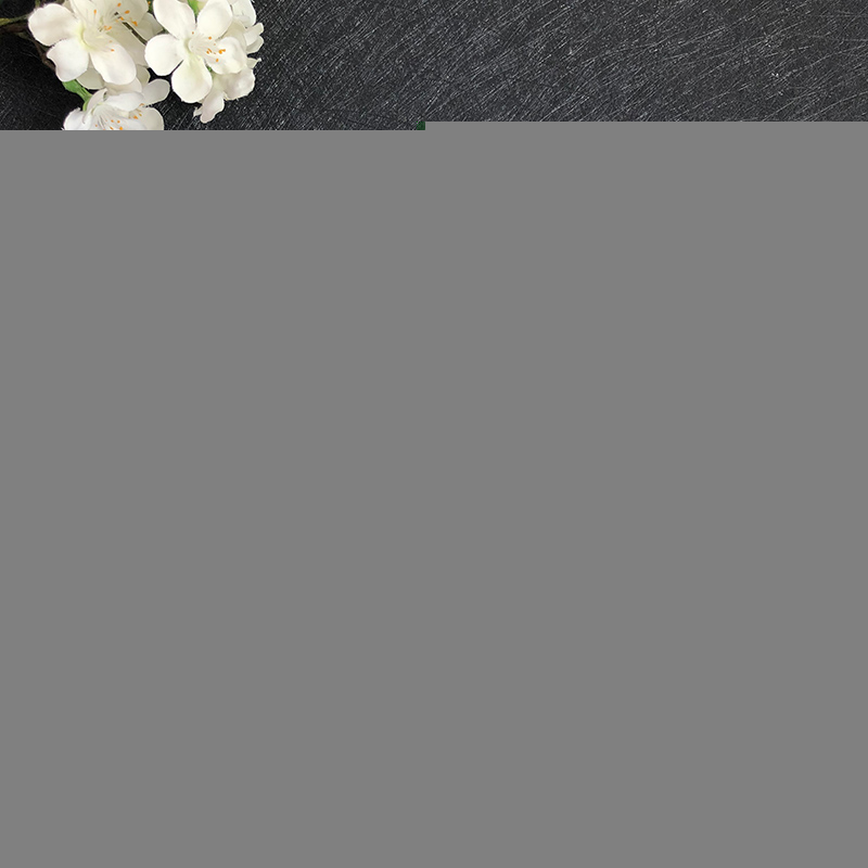 正版新书]宣纸上的中国李北山著9787547424858高清大图