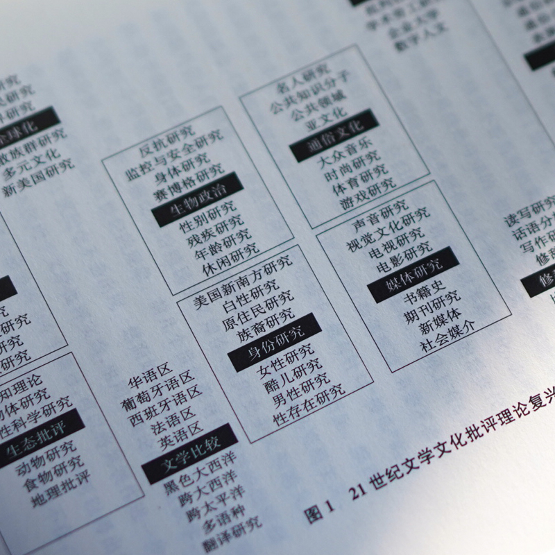 醉染图书21世纪的文学批评:理论的复兴9787305270高清大图