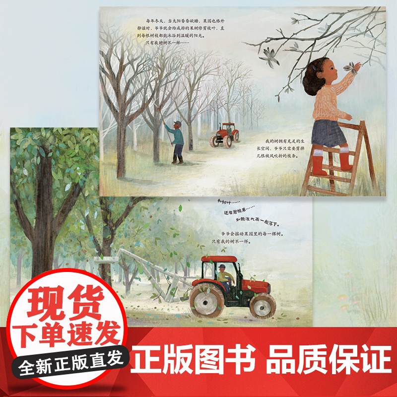 我的爷爷我的树 小竹马亲情绘本 3-6岁童书高清大图