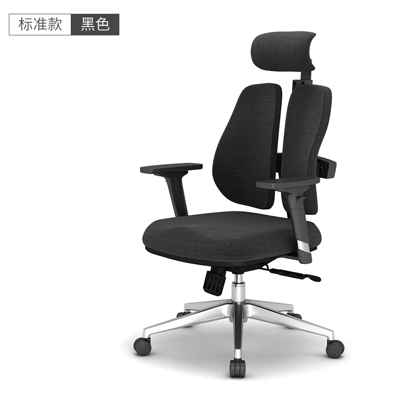 阿拉贡电脑椅家用人体工程学椅子久坐舒适转椅靠背椅办公椅子老板椅