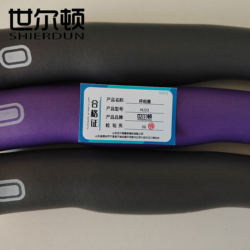 世尔顿(SHIERDUN) 呼啦圈 HLQ11 个