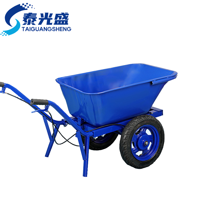 泰光盛 搬运车 蓝辆
