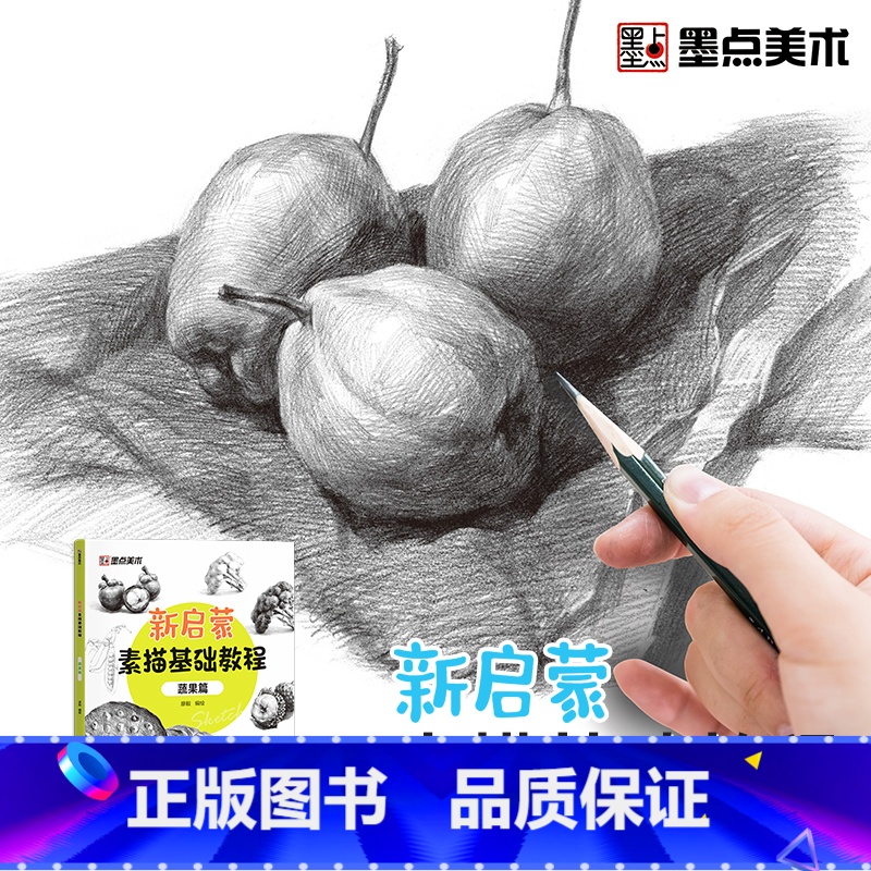 [正版]墨点美术新启蒙素描基础教程蔬果素描零基础学生素描绘画入门教程书籍带视频教学单体静物实物结构明暗排线结构绘图铅笔绘高清大图